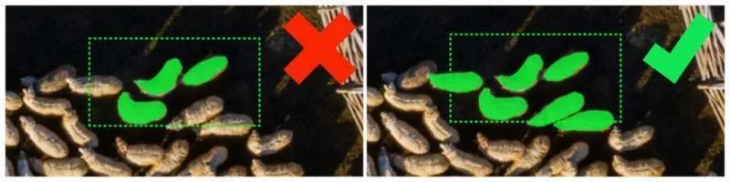A screenshot showing what not to do on the left (annotations containing very few pixels) versus what best to do on the right (more pixels)