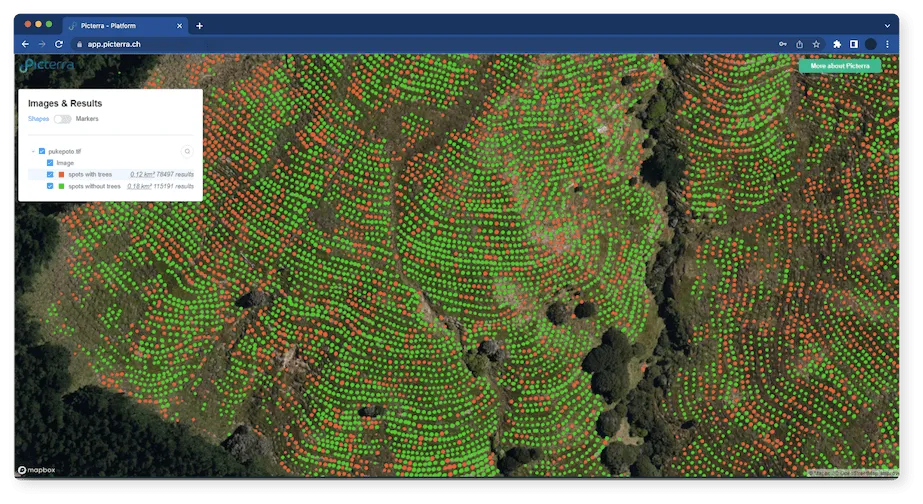 Screenshot of Picterra being used to support reforestation