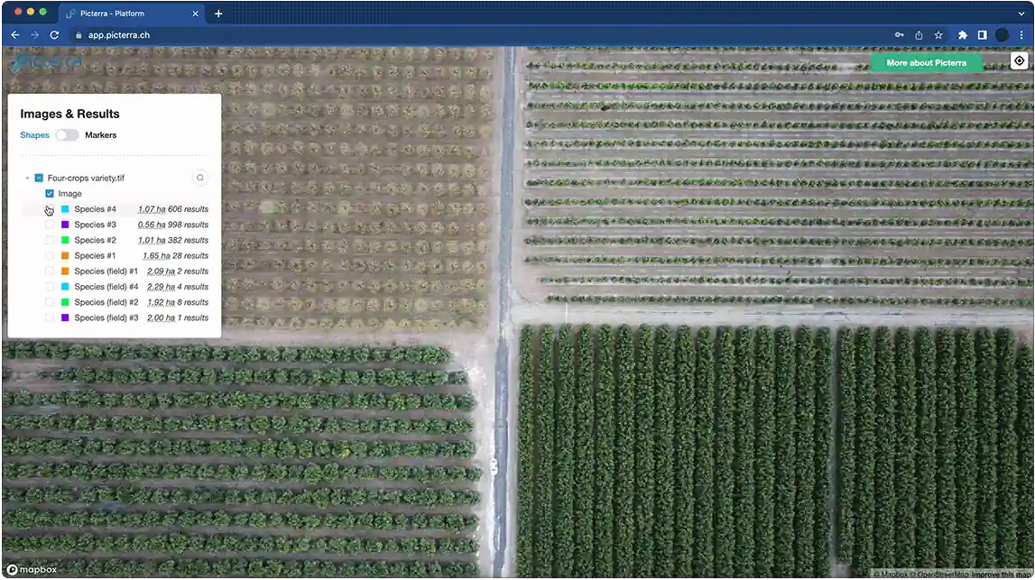 This is a screenshot of the Picterra geospatial platform displaying an aerial, top-down analysis of a field divided into four quadrants. The interface features a side panel titled "Images & Results" that lists data for a file named "Four-crops variety.tif." The analysis identifies and quantifies four different plant species and their corresponding fields, providing specific measurements in hectares (ha) and total object counts. The image illustrates how AI and satellite imagery are used to differentiate and monitor various crop types within a single agricultural plot.