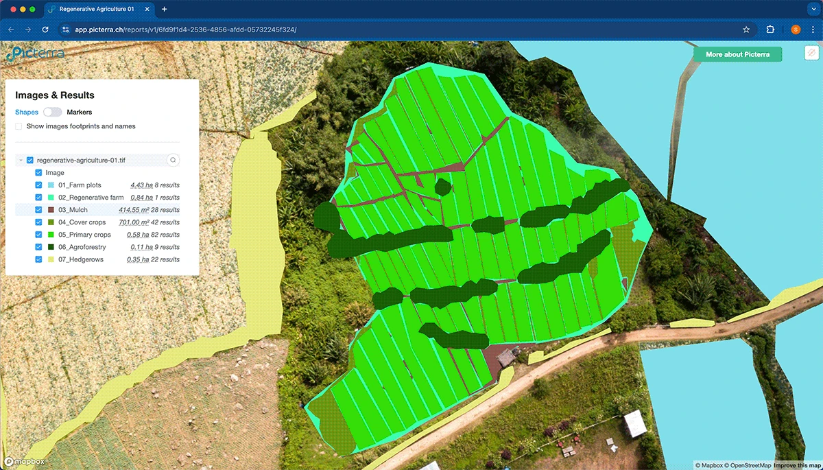 Visualize the future of sustainable farming with this screenshot from Picterra. The image displays an aerial analysis of a Regenerative Agriculture farm. It highlights key features of regenerative practices with classified polygons for mulch, cover crops, agroforestry, and hedgerows, plus detailed data on field area and result counts. This tool enables precise monitoring and measurement of regenerative farm metrics using satellite imagery and computer vision.