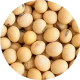 EUDR_soy